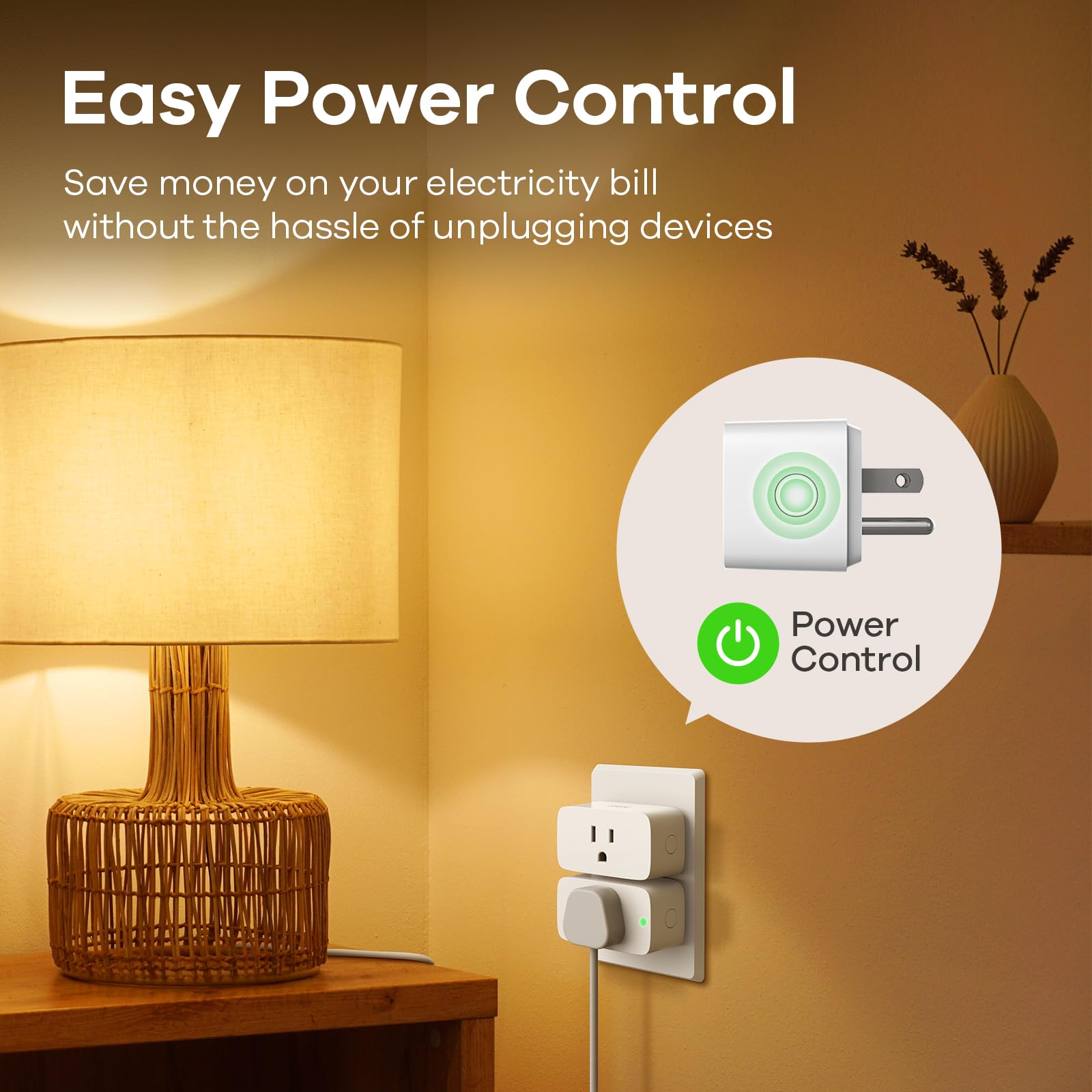 2.4GHz Wi-Fi setup guidance for Linkind Matter Smart Plug.