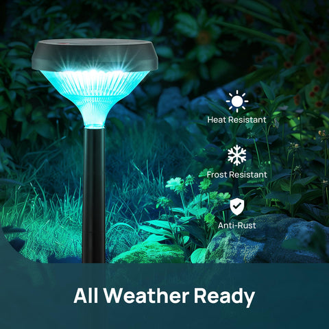 Linkind solar lights provide reliable auto-on/off and weatherproof performance.