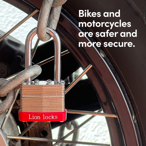 Indoor cabinet secured by a Lion Locks padlock highlighting indoor versatility.
