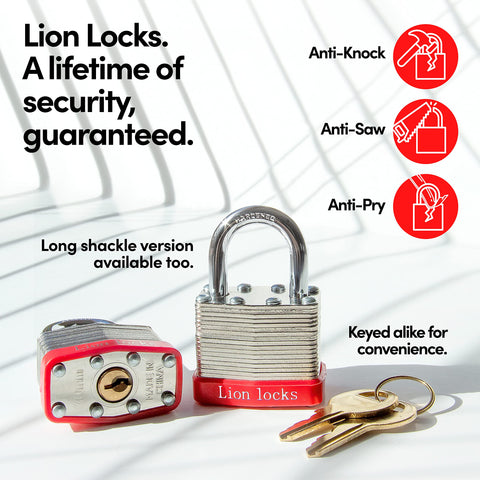Lion Locks fence and shed setups highlight reliable steel construction