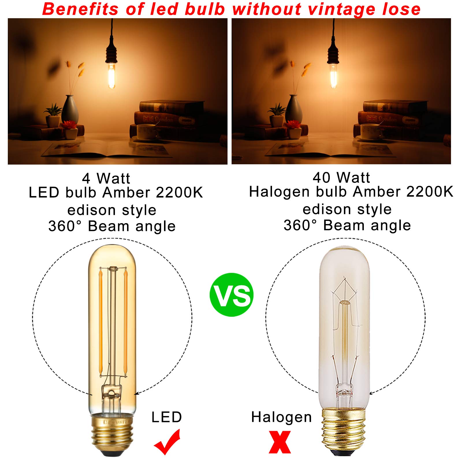 LiteHistory Edison-style T10 bulb warm amber 2200K for vintage ambiance.
