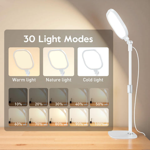 LitONES dimmable light with 2700K–6500K for adjustable ambience.