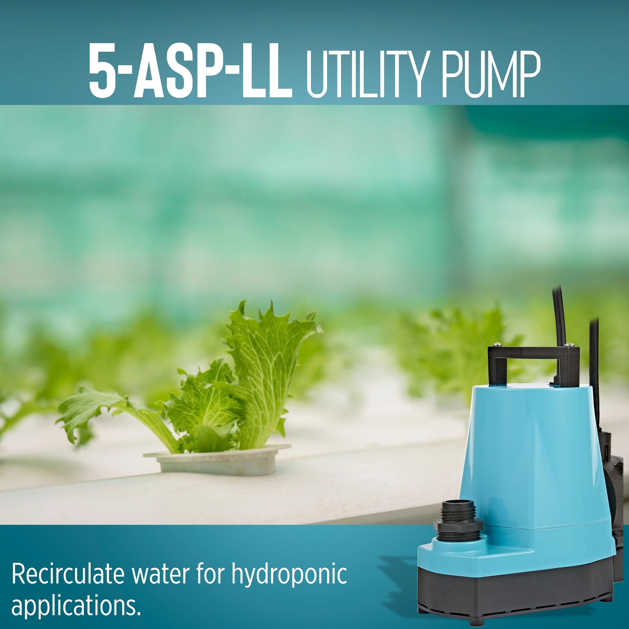 Little Giant 5-ASP-LL pump operating in water for transfer tasks