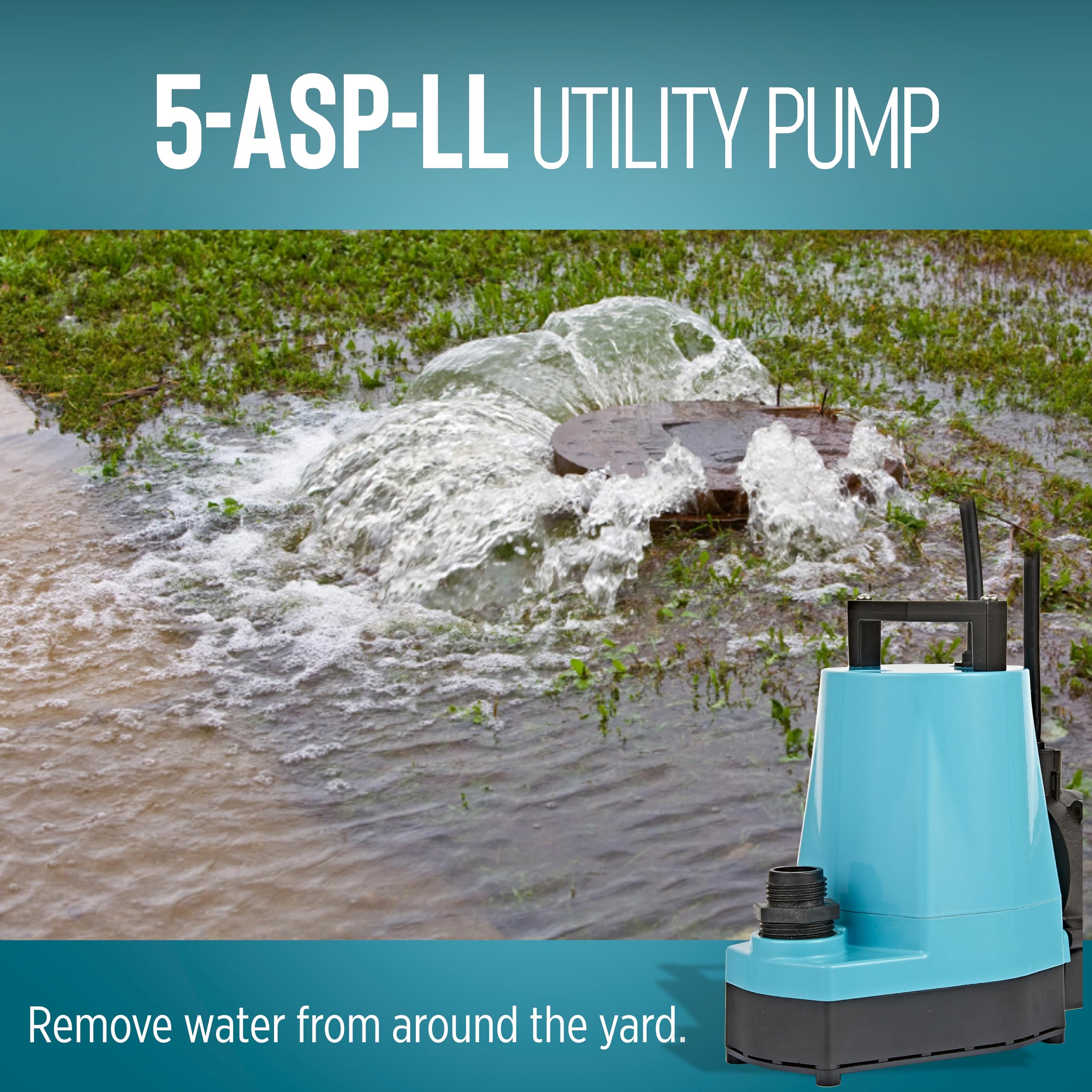 Little Giant 5-ASP-LL lightweight and portable unit