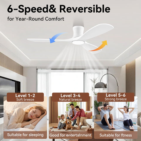 Livory LED lights offer mood lighting with color options.