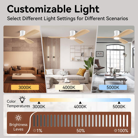 Livory Smart 52” ceiling fan suitable for indoor and covered outdoor areas.