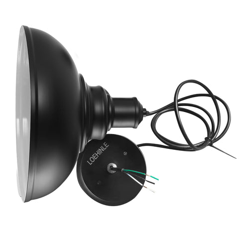 LOEHINLE pendant with 60-inch cord for flexible mounting