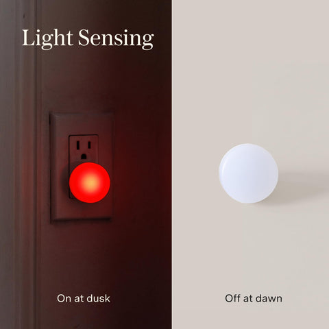 Loftie three-pack lets you place lights in multiple rooms for consistent coverage.