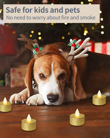 LOGUIDE safe for kids and pets with easy on/off switch.