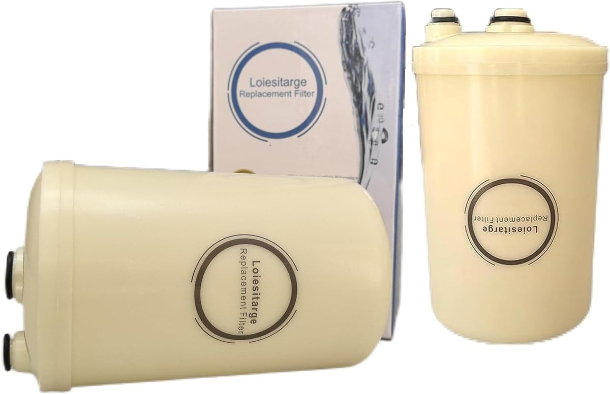 Loiesitarge HG-N replacement filter front view for easy installation