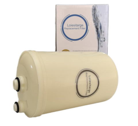 Loiesitarge replacement filter packaging ready for installation.