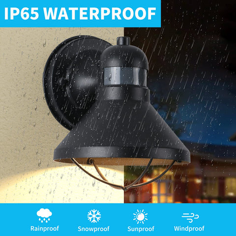 LONEDRUID 1100 lumen LED light source delivers bright, efficient illumination.