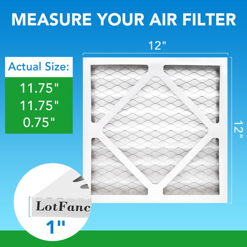 LotFancy pleated filter with durable frame supports stable airflow and longer filter life.