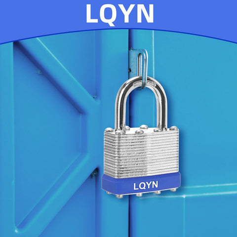 LQYN dual locking levers reduce prying and tampering risks.