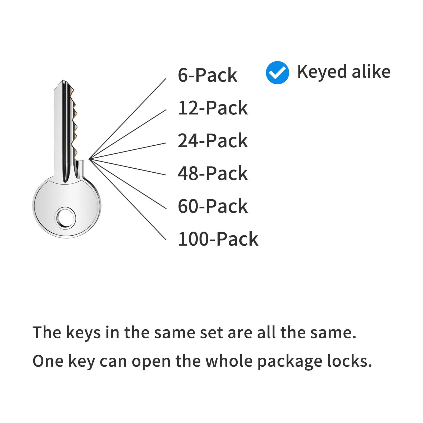 Toolbox and workshop padlock set by LQYN for secure tools