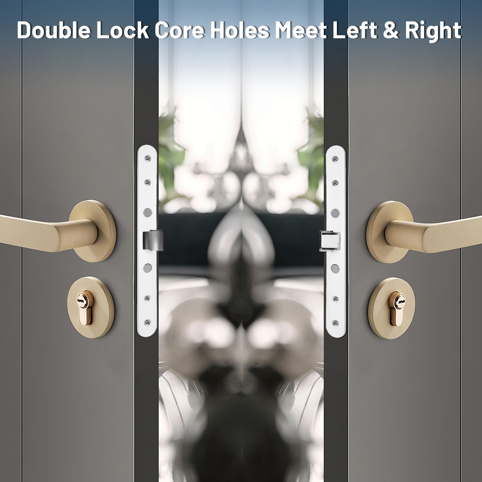 Lubentol side-mortise view indicates embedded fit for storm door security