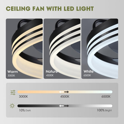 LUDOMIDE LED light offers 3000K-6000K color temperature for mood control