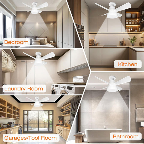LUMILECT Socket Fan Light dimmable LED brightness from warm to daylight.