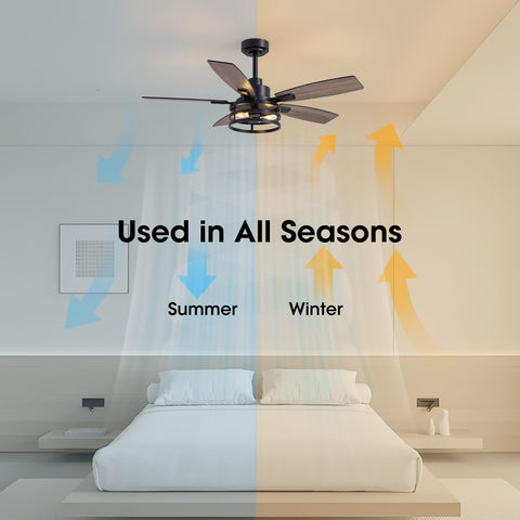 LuminFan two tone blade option creates customizable decor and airflow
