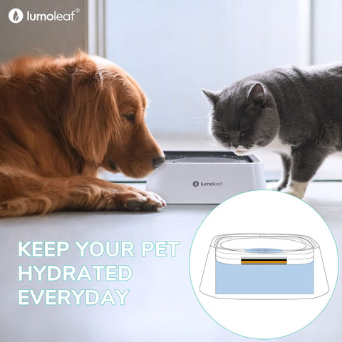 LumoLeaf dog water bowl accessory supports regular maintenance.