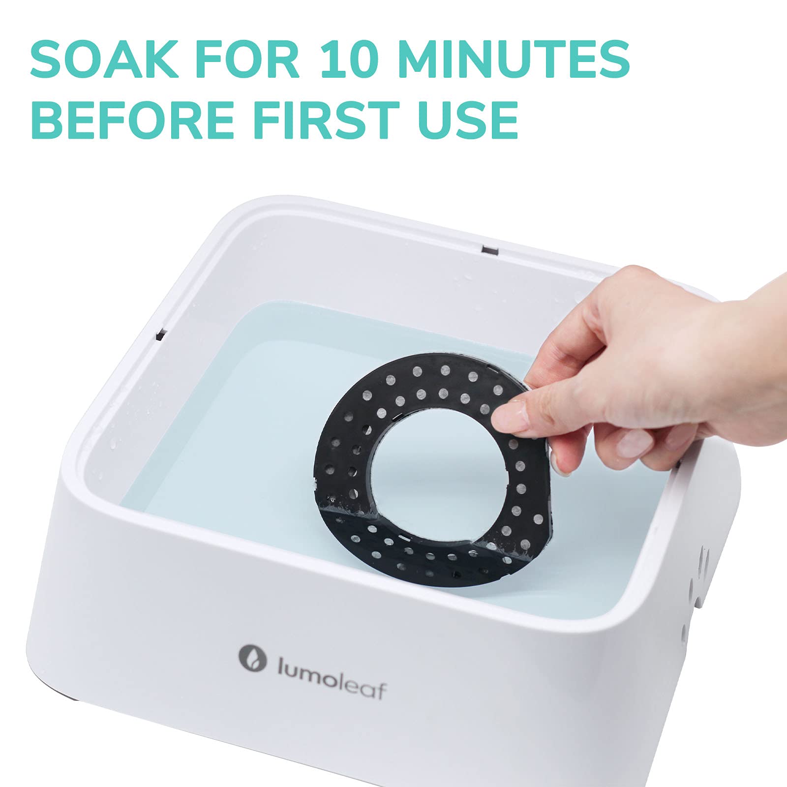 LumoLeaf rinse and soak step ensures dust-free water.