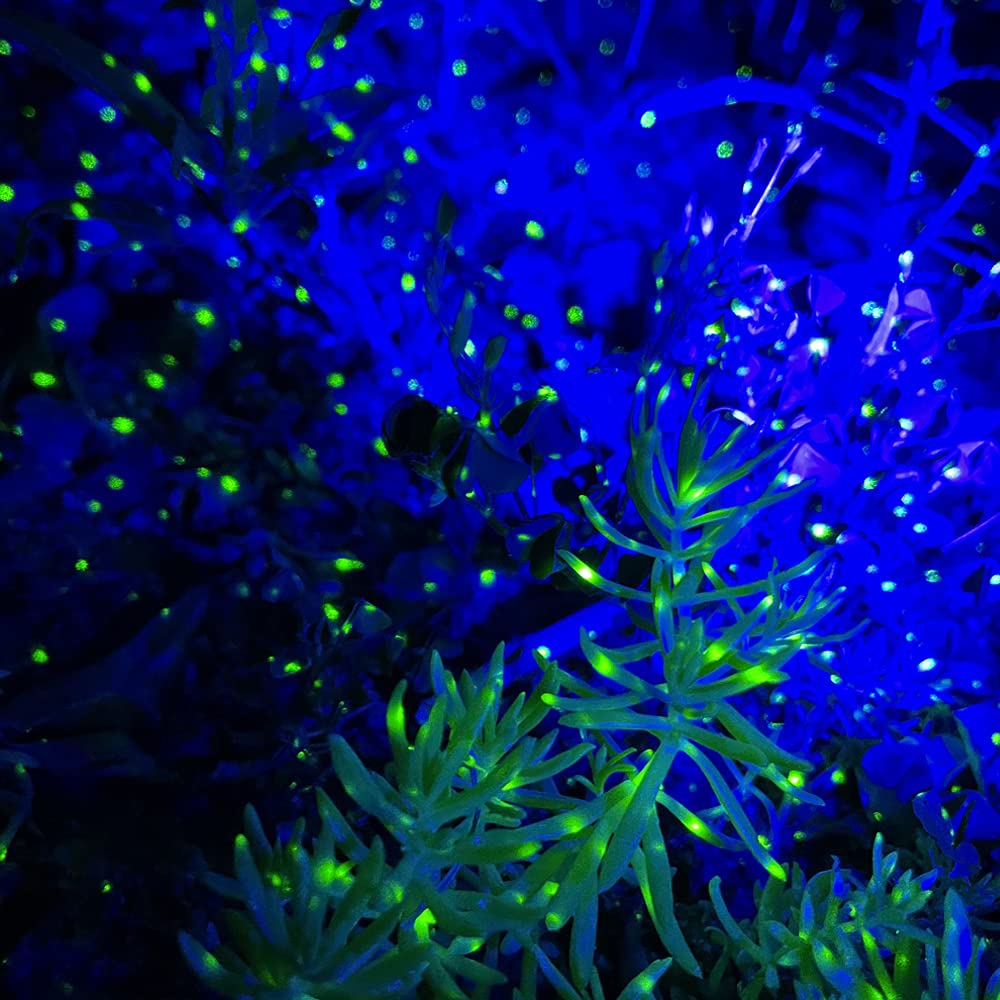 Lunmore Firefly night sky projection onto a surface for instant spectacle