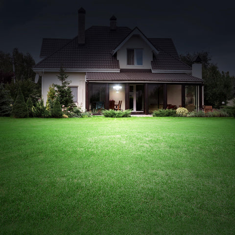 Dusk to Dawn mode on LUTEC light, automatically illuminating after sunset.