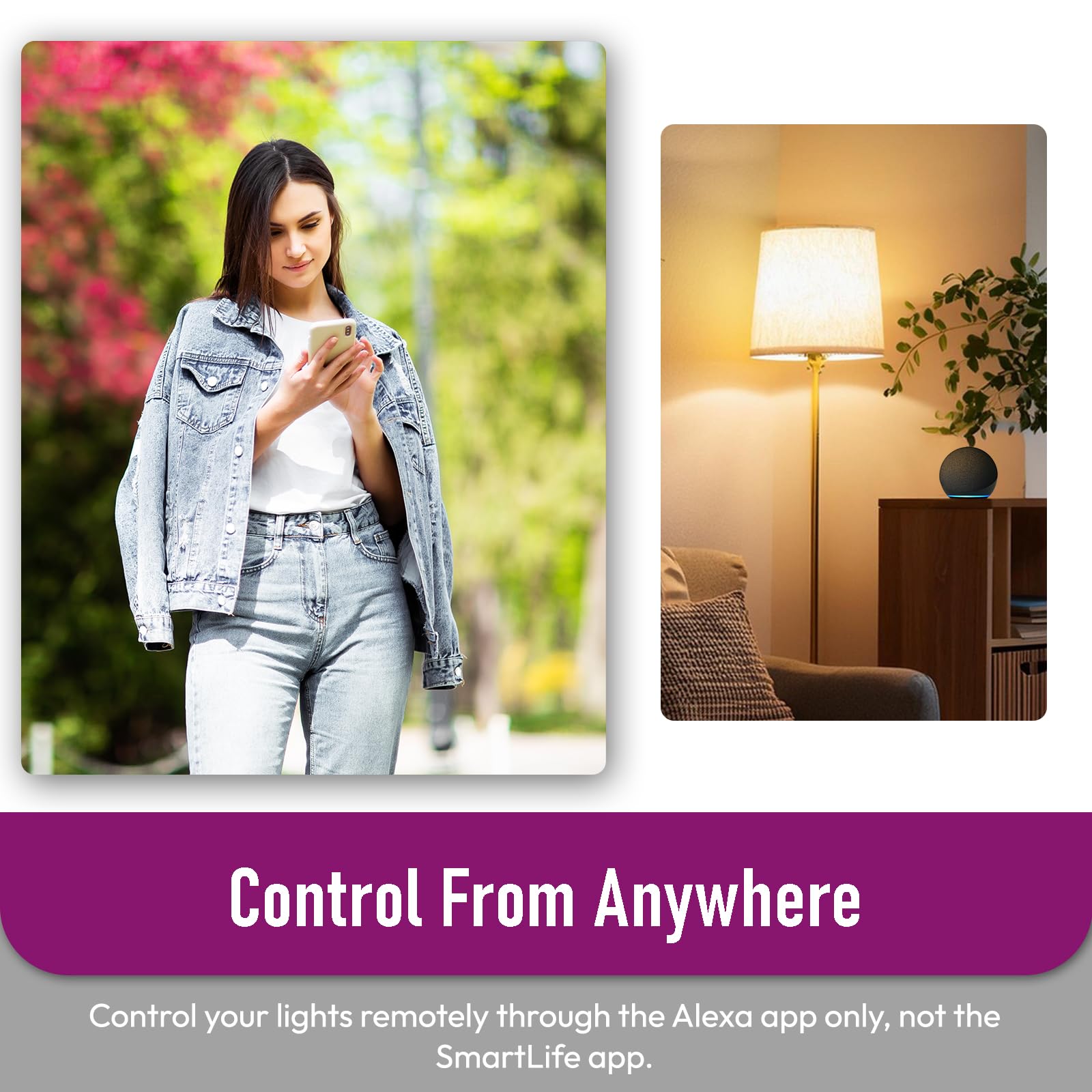 LUXFACT voice-control setup with Echo devices.