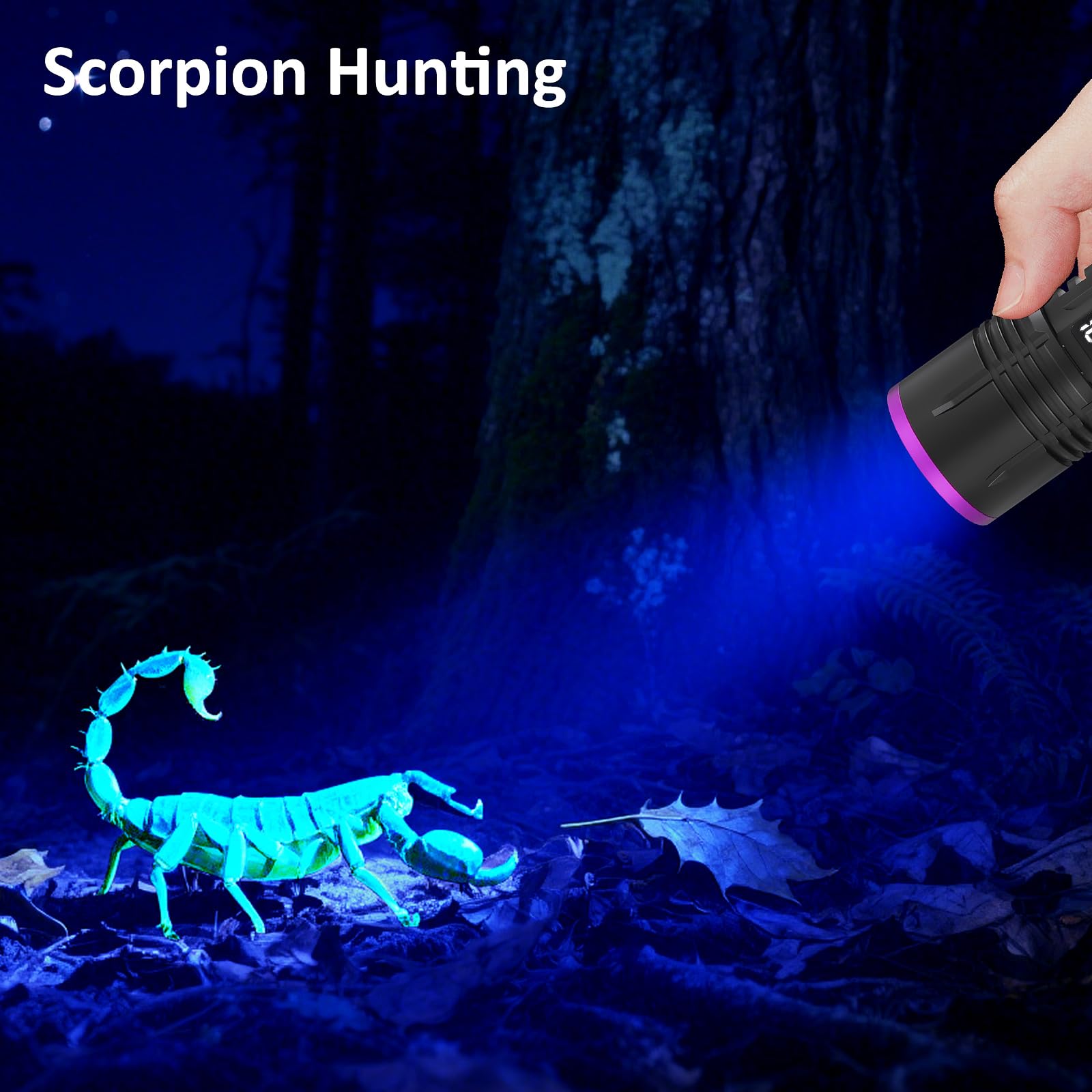 LUXNOVAQ UV light for pet urine detection and resin curing applications