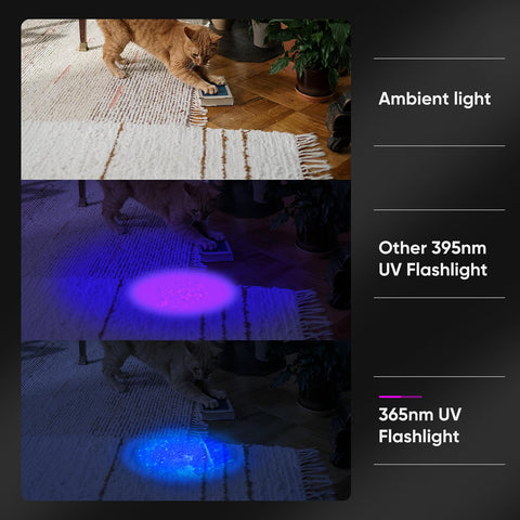 LUXNOVAQ UV flashlight supports outdoor exploration like scorpions and minerals