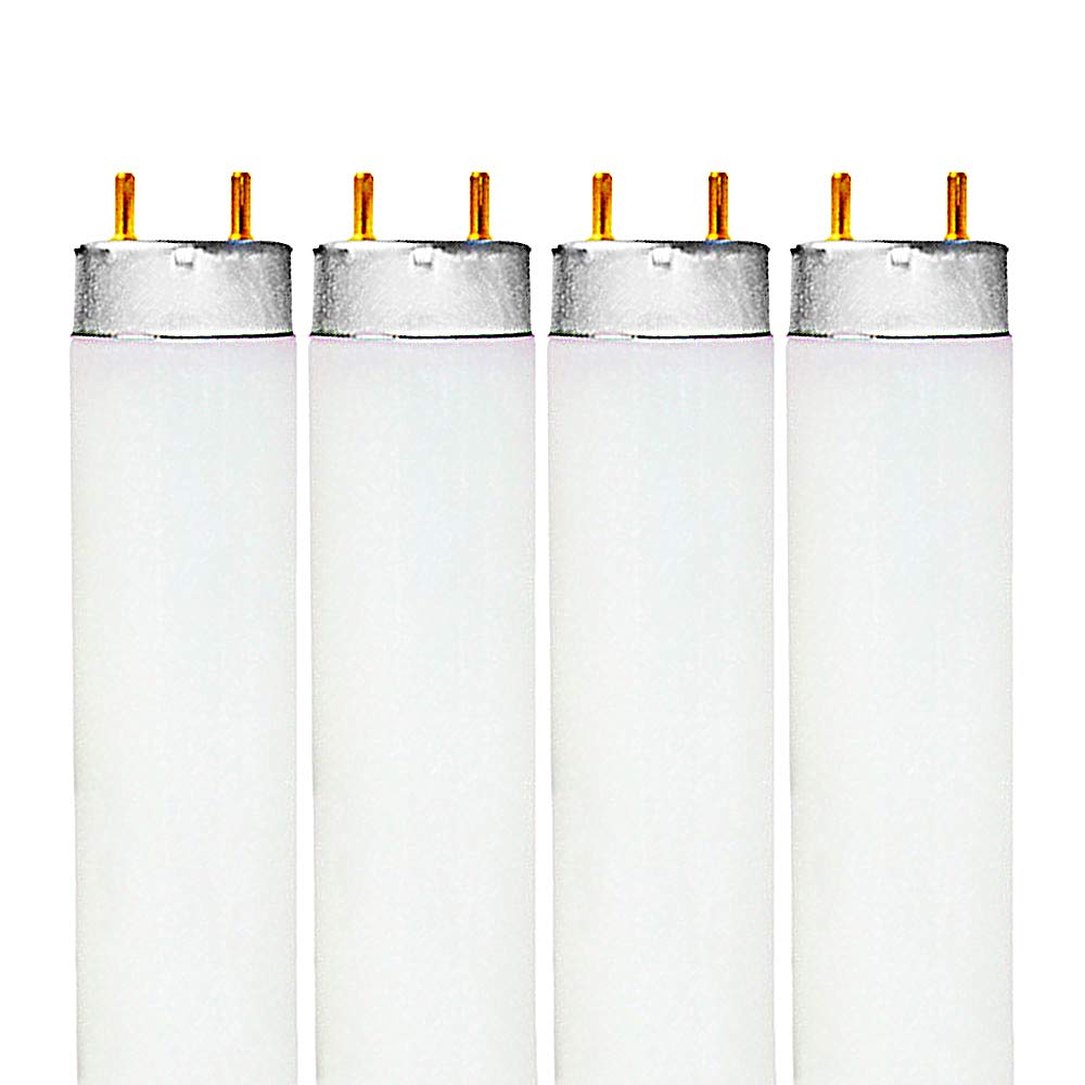 Luxrite 48-inch T8 fluorescent tube bulb for bright, reliable office lighting.