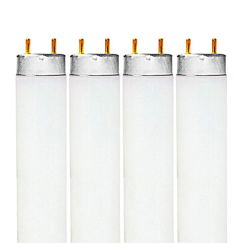 Luxrite 48-inch T8 fluorescent tube bulb for bright, reliable office lighting.