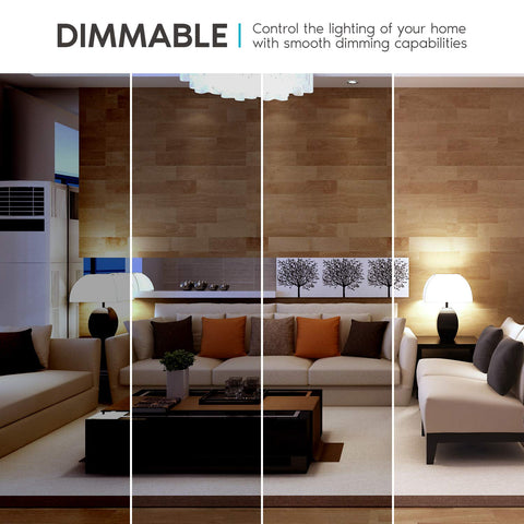 LUXRITE A19 Energy Star certified for efficient performance.