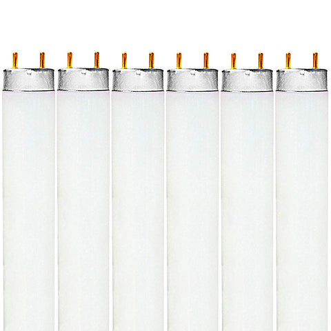 Luxrite F32T8 48in bulb front view for bright, energy-efficient lighting.