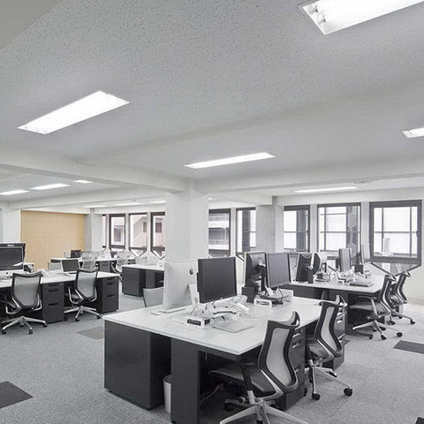 Luxrite F32T8/841 with G13 base installed in a ceiling fixture.