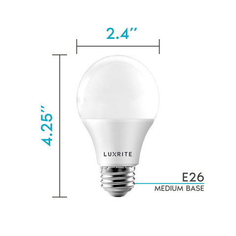 Luxrite A19 bulb in an enclosed fixture suitable for indoor and outdoor use.