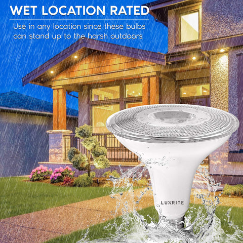 LUXRITE PAR38 wet-rated outdoor bulb ideal for patios and driveways.