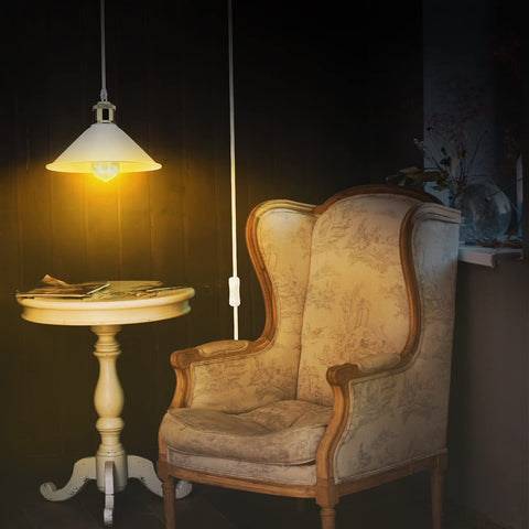 Big black LYOOWNG plug-in pendant light for bold farmhouse styling