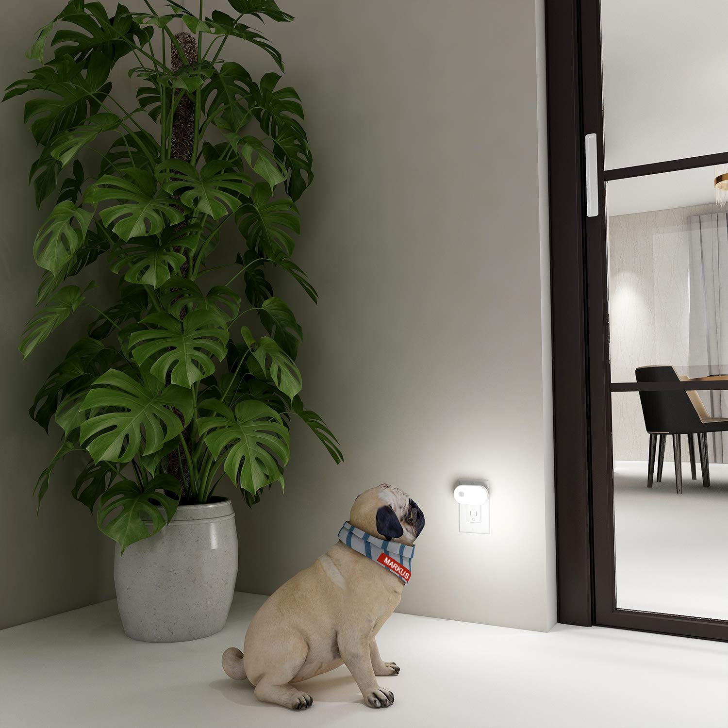 Lyridz 6-pack provides reliable lighting across spaces.