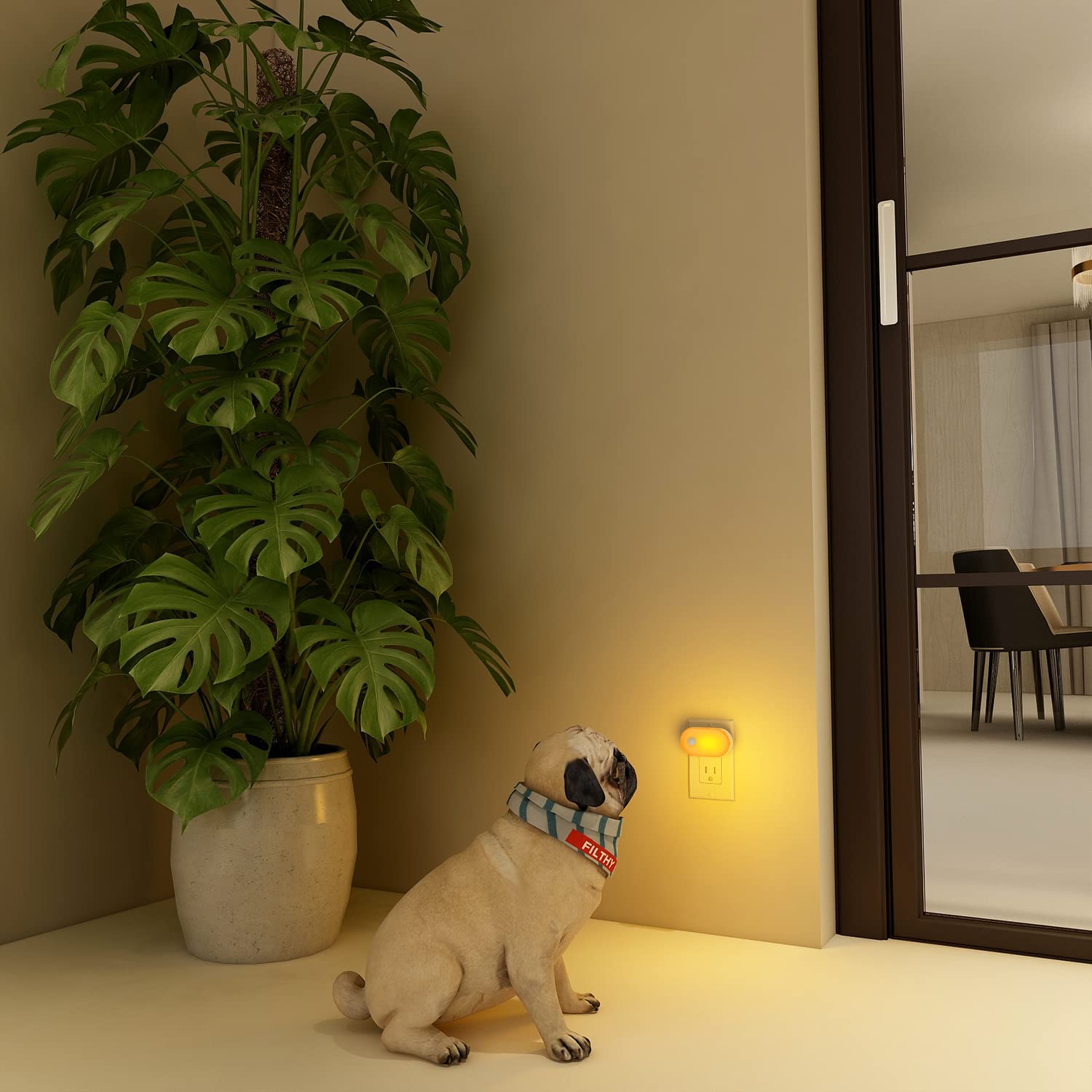 Lyridz Amber Night Light helps illuminate stairs and hallways with energy-efficient lighting.