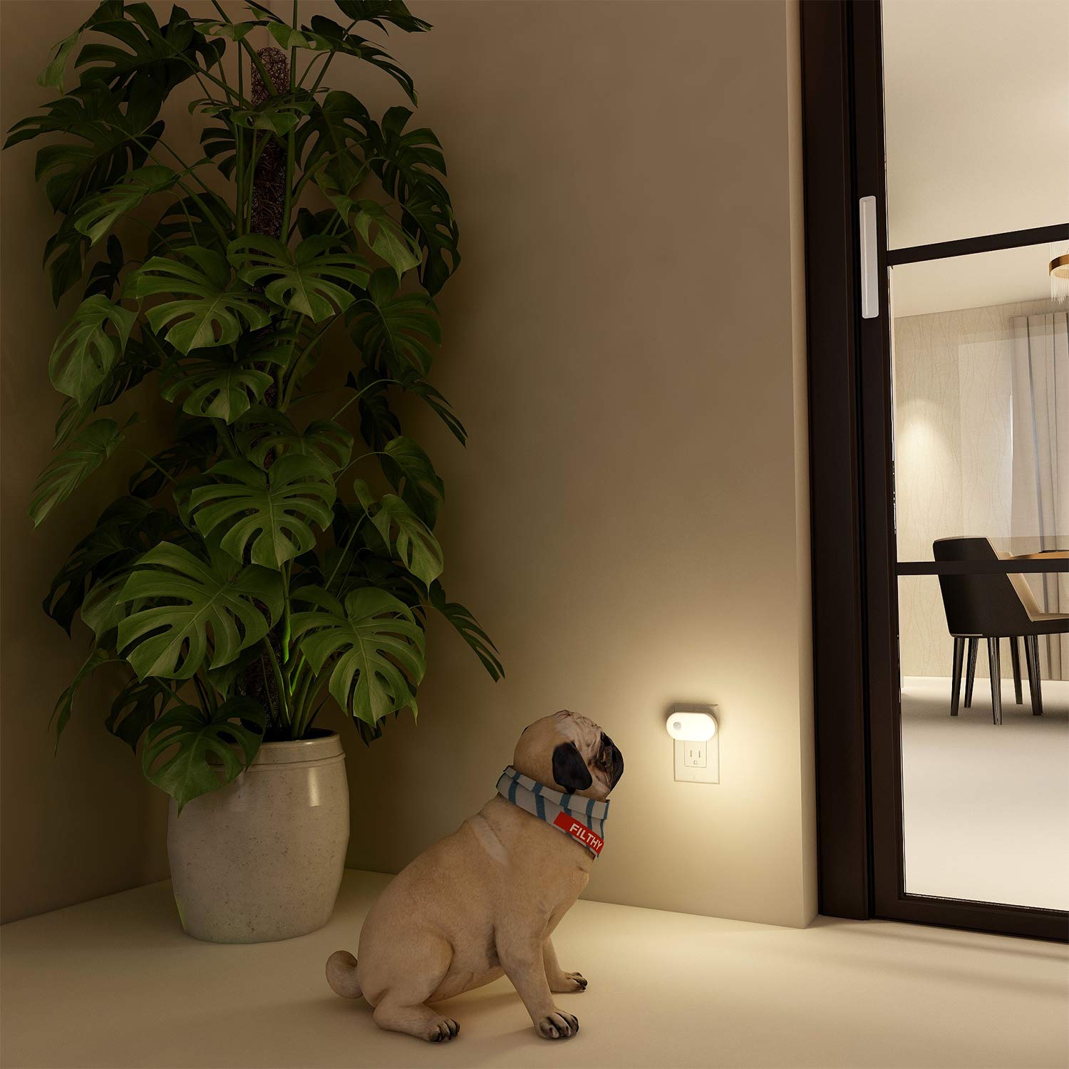 Lyridz night light adds soft, safe illumination at night.