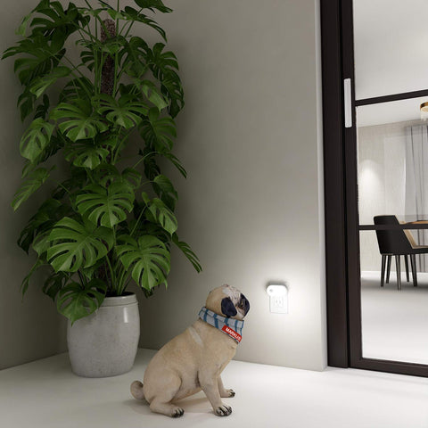Lyridz 2-pack provides reliable ambient lighting for multiple rooms