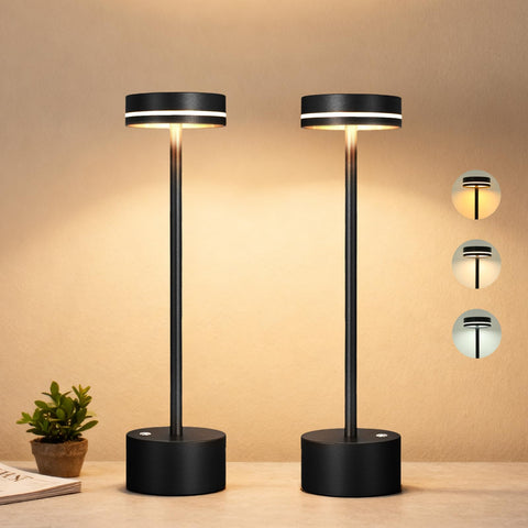 LZXYUYU rechargeable table lamp duo for flexible, cord-free lighting.
