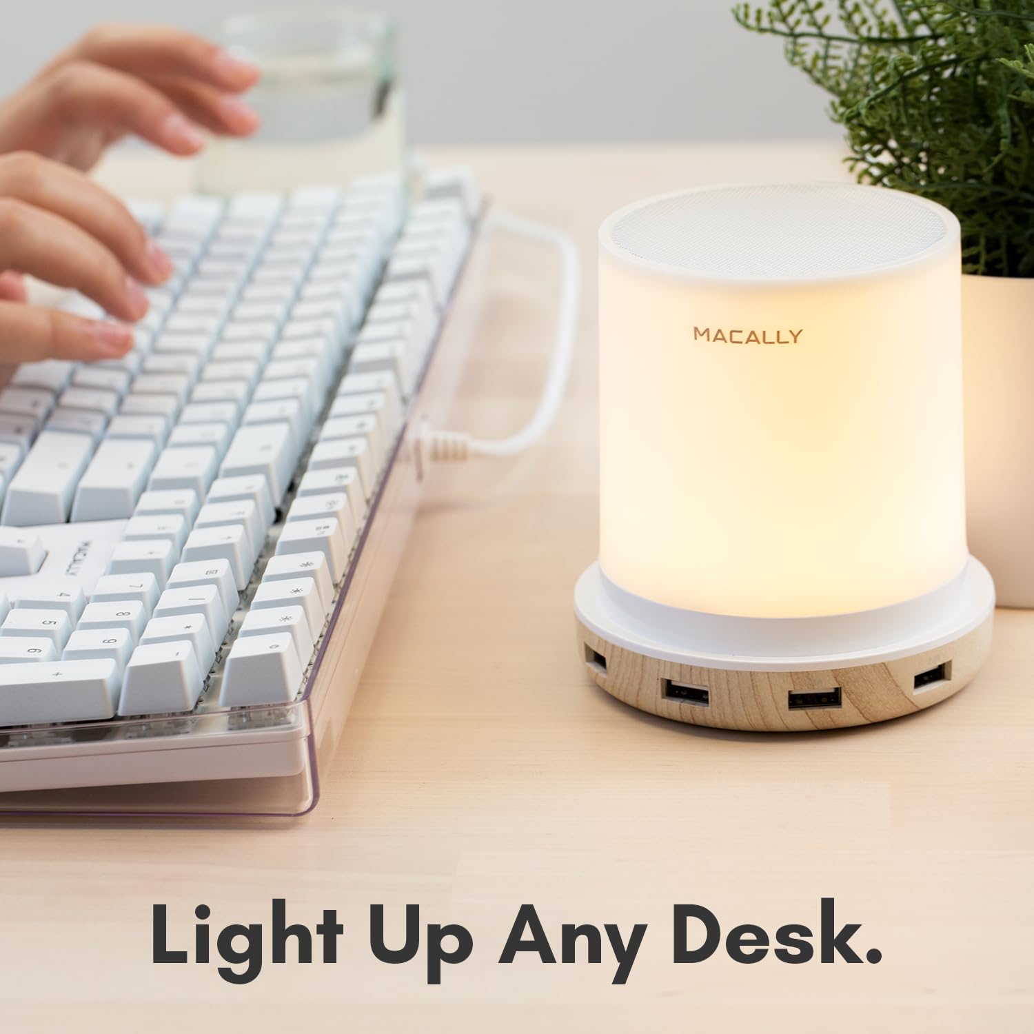 Macally bedside lamp with 3-way dimming for warm ambience.