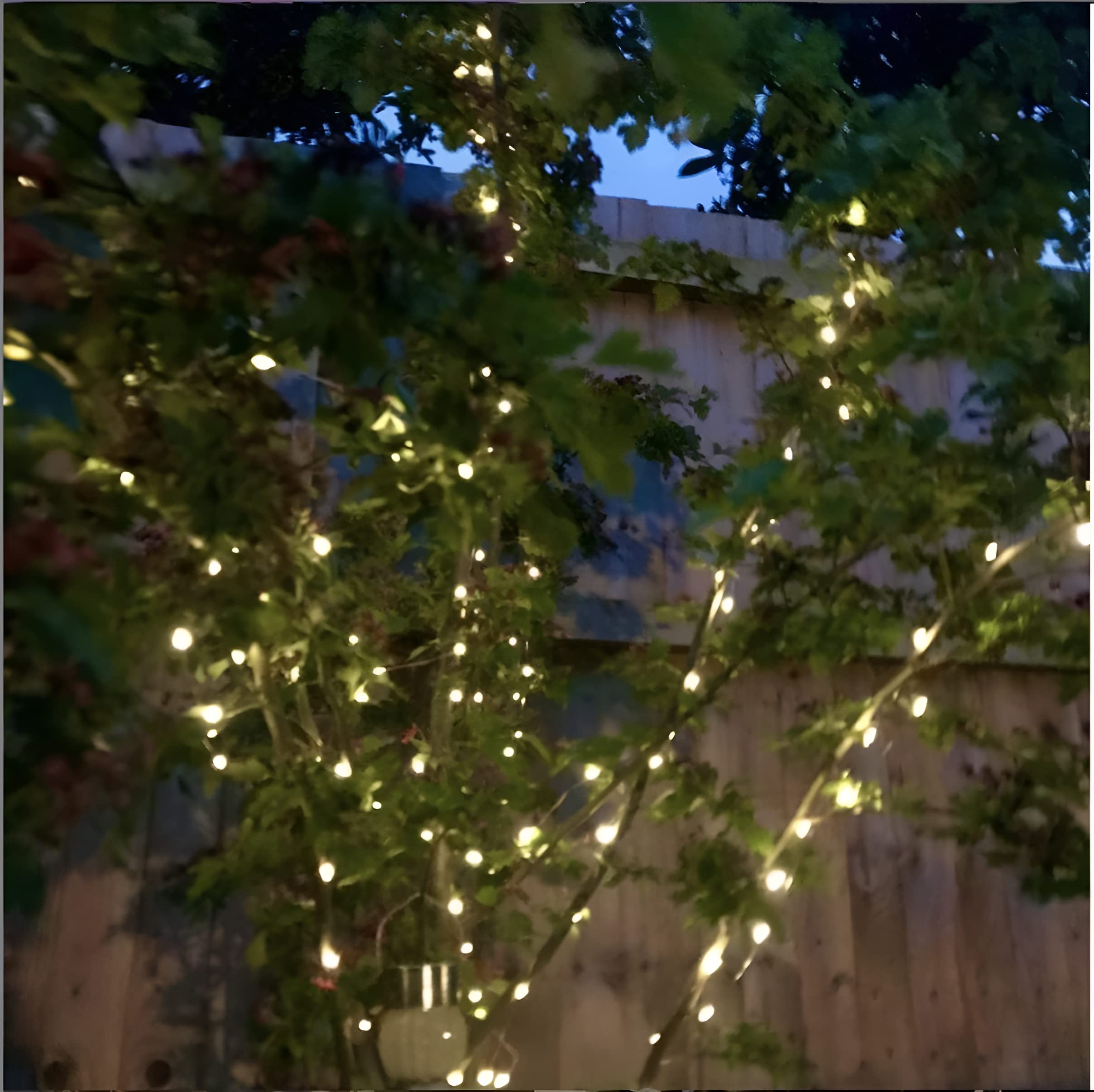 Flexible Magicnight light strings form decorative shapes on walls