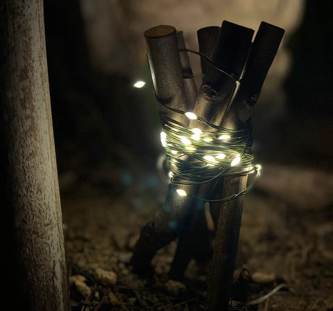 Green-wire Magicnight lights around a tree add twinkling accents