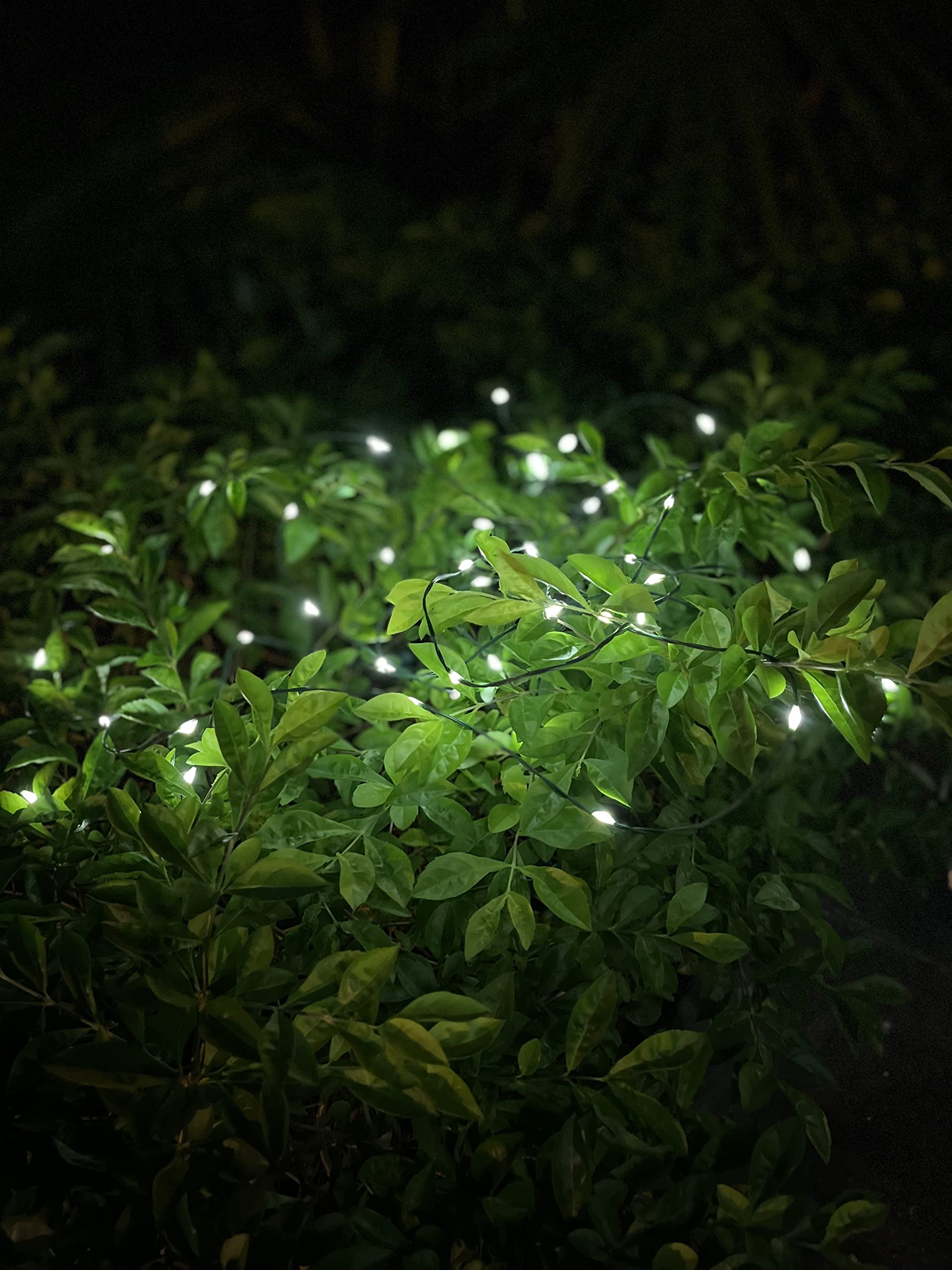 Magicnight lights wrapped on a fence create subtle nighttime illumination