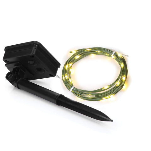 Two-pack Magicnight solar garden lights for cord-free backyard ambiance