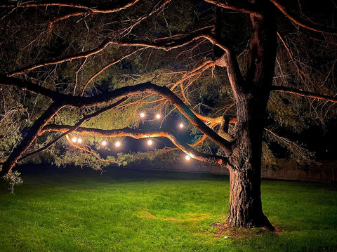 Magictec 48ft outdoor string lights illuminate patios with wide coverage.