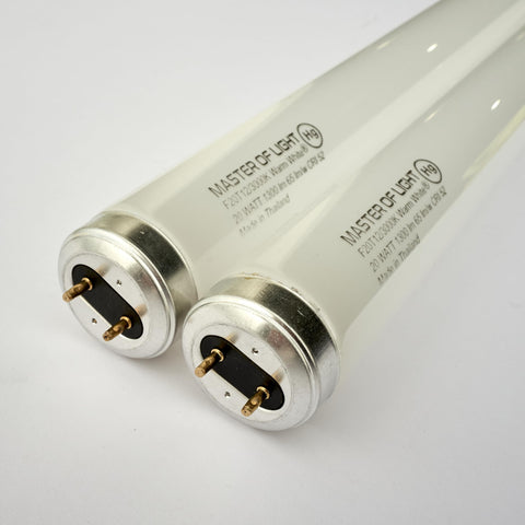 Master Of Light F20T12 with G13 base—reliable fit for preheat/rapid-start fixtures.